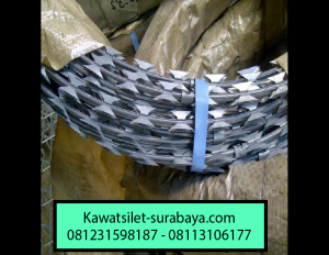 kawat silet papua